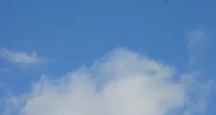 Dealul Vânturilor Episodul 201